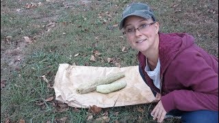 Taking a Luffa Sponge out of a Luffa Gourd [upl. by Engleman182]