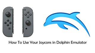 How To Use Your Joycons in Dolphin Emulator [upl. by Eisyak]