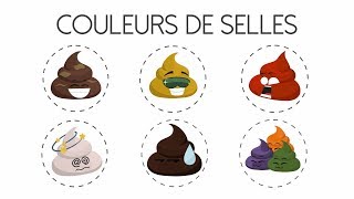 Ce que la couleur de vos selles révèle sur votre santé [upl. by Notrab]