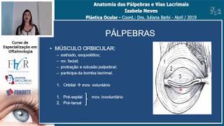 Anatomia das Pálpebras e Vias Lacrimais  Izabela Neves  Plástica Ocular [upl. by Azeria]