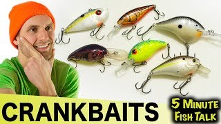 How To Fish Crankbaits For Beginners [upl. by Ellenehc]