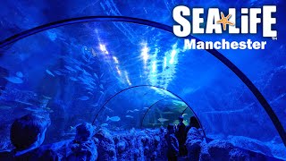 Sea Life Manchester Complete Walkthrough Tour 4K [upl. by Trelu211]