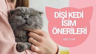 En Güzel Dişi Kedi İsimleri [upl. by Nnylak]