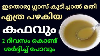 വെറും രണ്ട് ദിവസം കൊണ്ട് എത്ര പഴക്കമുള്ള കഫവും ശർദ്ദിച്ച് പോവാൻ ഒറ്റമൂലി Home Remedy for Cough [upl. by Yerhcaz293]