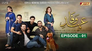 Ehd e Wafa Episode 01  Pashto Drama Serial  HUM Pashto 1 [upl. by Cullan]