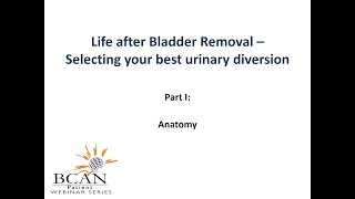 Recovery Length from Superficial Bladder Cancer Surgery  Questions About Bladder Cancer [upl. by Skeie]