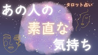 🤍あの人の素直な気持ち🤍 【タロット占い】 [upl. by Jones]