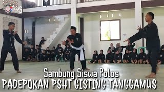 Sambung Siswa Polos PSHT Gisting Tanggamus [upl. by Pantheas58]