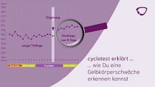 cyclotest erklärt wie Du Gelbkörperschwäche erkennen kannst [upl. by Tamer178]