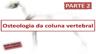 OSTEOLOGIA DA COLUNA  parte 2 anatomia veterinária [upl. by Ennelram]