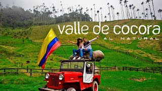 VALLE DE COCORA RECORRIDO 🌴🌴 DAFERYPAO COCORA ENCANTO [upl. by Elfreda]