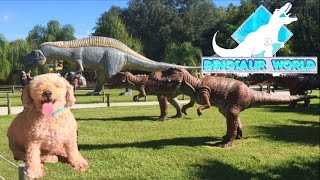 DINOSAUR WORLD REVIEW  full tour 2021 [upl. by Llevart]