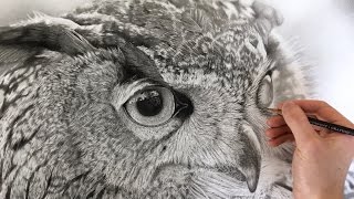 Hyperrealism Hyperrealistic owl drawing [upl. by Lebama391]