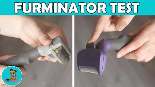 FURminator Katzenbürsten im Test  Katzenhaare entfernen ✅ [upl. by Fanchan557]