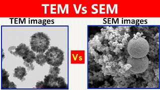 SEM Vs TEM [upl. by Reerg]