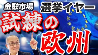 【2024年6月28日】金融市場 選挙イヤー 試練の欧州 週末はフランスの総選挙ですが流石にアジアの島国日本にはあまり詳細な報道はありません 整理して来週の週明けに備えます [upl. by Eenhpad]