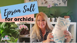 5 Reasons Why Epsom Salt Perfect for Orchids [upl. by Gannie488]