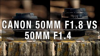 Canon 50mm f18 vs 50mm f14  Is it worth the extra money [upl. by Kalil900]