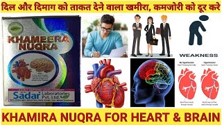 KHAMIRA NUQRA FOR HEART amp BRAIN Khamira Nuqra Benefits amp Uses  खमीरा नुकरा के फायदे [upl. by Boycey]