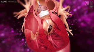 Einführung in die Medizintechnik  Herz und EKG [upl. by Abrahan]