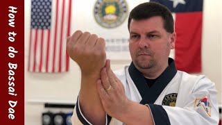 How to do Bassai Dae for Tang Soo Do [upl. by Inalel]