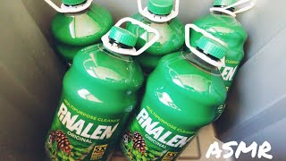 ASMR Gallons Of Pinalen 5× [upl. by Leizar]