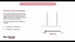 Fundamentals of HPLC 23  Efficiency and the Chromatogram [upl. by Abisha387]