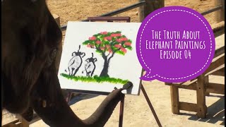 Genuine Elephant Paintings  The Story of Suda The Painting Elephant [upl. by Rist618]