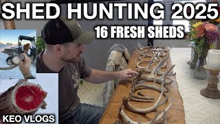 First Shed Hunt 2025 [upl. by Akived]