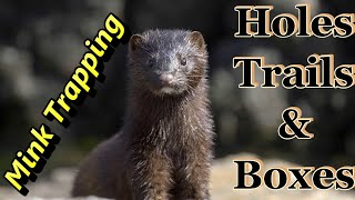 Mink Trapping SetUps new and old Focus on Trapping [upl. by Annairba]