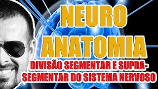 Divisão segmentar e suprasegmentar do Sistema Nervoso  Neuroanatomia  VideoAula 072 [upl. by Carlson]