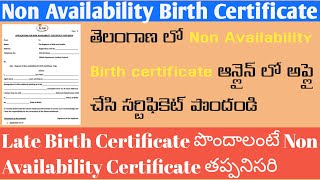 Non Availability Birth Certificate TeluguNon Availability Birth Certificate in Telangana [upl. by Muna219]