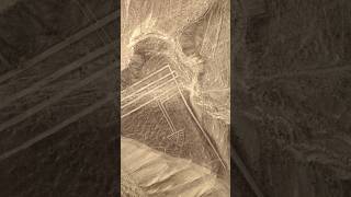 What are Interesting Facts About the Nazca Lines [upl. by Ileyan6]