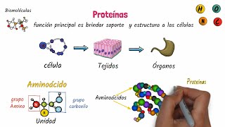 Proteínas Biomoléculas [upl. by Alidis563]