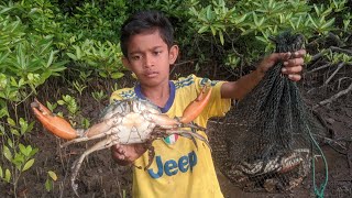 Catching mangrove crabs Unexpectedly It turns out that giant crabs nest in the mangrove forest area [upl. by Adlai]