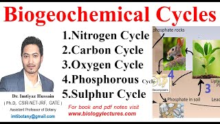 Biogeochemical Cycles nitrogencycle carboncycle Oxygen Phosphorous amp Sulphur Cycle bscbotany [upl. by Loos]