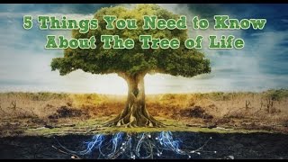 5 Things You Need to Know About The Tree of Life [upl. by Maxma338]