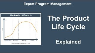 Product Life Cycle Explained [upl. by Blanchard780]