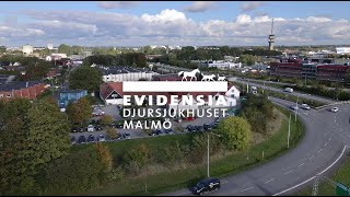 Evidensia Djursjukhuset Malmö [upl. by Yelrihs975]