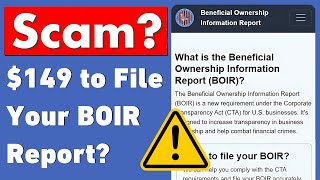 Is Boirorg Legit For BOIR Filing Is it Authorized by FinCEN [upl. by Darcie944]