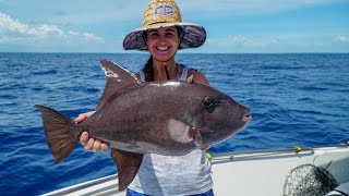 GIANT Triggerfish CATCH Clean amp COOK Florida Keys Fishing [upl. by Nnaid]