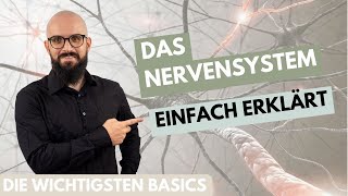 Das Nervensystem einfach erklärt [upl. by Lucias]