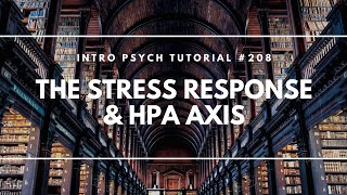 The Stress Response amp HPA Axis Intro Psych Tutorial 208 [upl. by Clie517]