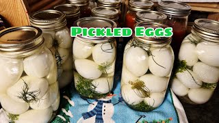 Dill Pickled Eggs For Canning and Long Term Storage [upl. by Grannia581]