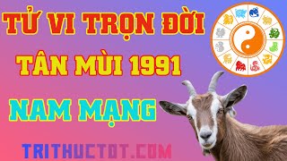 🔴 Tử Vi Trọn Đời Tuổi Tân Mùi 1991 Nam Mạng [upl. by Ecnerolf]