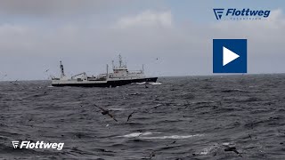 Processing Wild Alaskan Pollock onboard the Starbound Fishing Vessel [upl. by Bret]