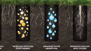 The Differences Between Aeration Tines [upl. by Aryaz417]