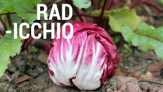 What is Radicchio amp Its Health Benefits [upl. by Namia321]