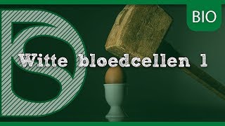 Examen biologie  Afweerbarrières antistof en antigeen Afweersysteem [upl. by Bordie]