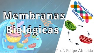 Aula de Estrutura das Membranas Biológicas  Prof Felipe Almeida [upl. by Ttegirb357]